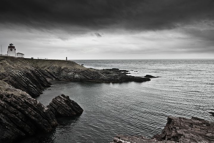 newfoundland-3000042__480